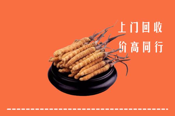 高价求购：拉孜县回收散虫草