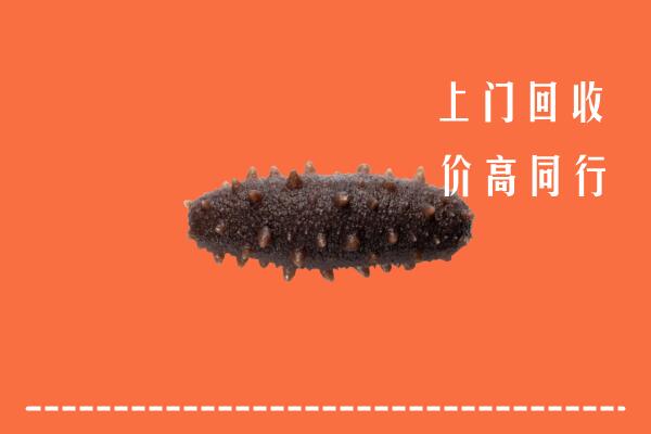 高价求购：拉孜县回收海参