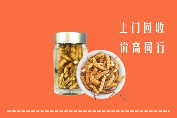 拉孜县回收冬虫夏草